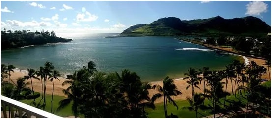 Šarlenės regėjimas Nr. 236 – Cunamis užlieja Kauai, Havajus / Patarnavimas brakonieriui Afrikoje / Deklaravimas dėl Trumpo